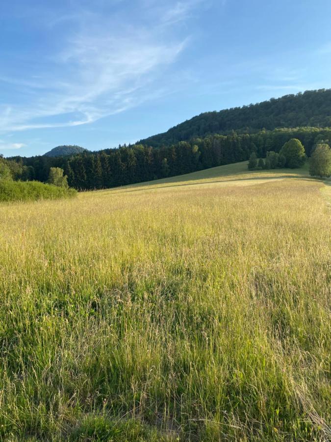 Appartement Burkhart *